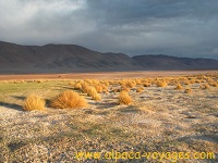 Salta, Altiplano, Puna Argentina