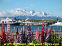 Ushuaia, Patagonia Argentina